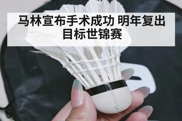 马林宣布手术成功 明年复出目标世锦赛